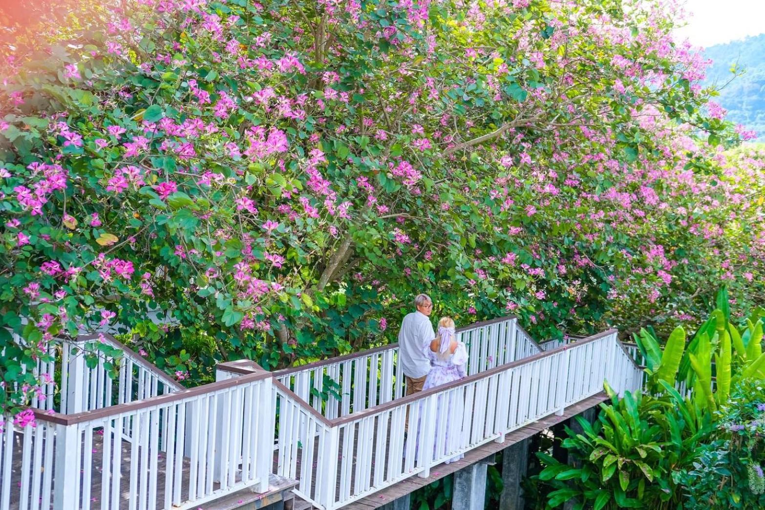 Hotel Vivace Khaoyai Mu Si Zewnętrze zdjęcie